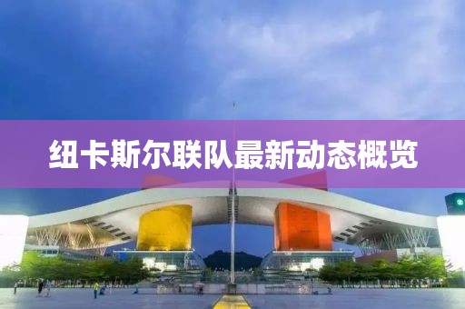 紐卡斯?fàn)柭?lián)隊最新動態(tài)概覽