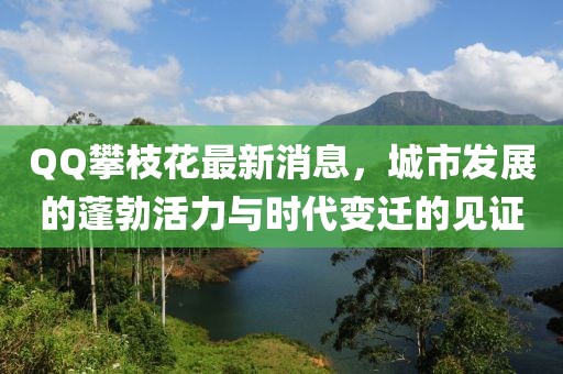 QQ攀枝花最新消息，城市發(fā)展的蓬勃活力與時(shí)代變遷的見證