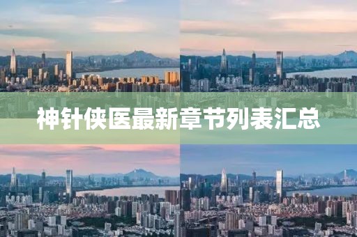 神針俠醫(yī)最新章節(jié)列表匯總