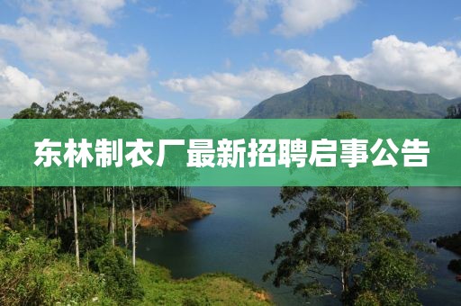 東林制衣廠最新招聘啟事公告