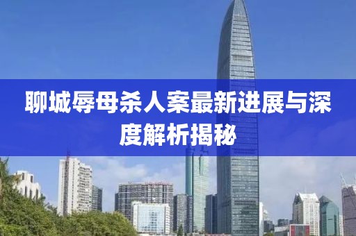 聊城辱母殺人案最新進(jìn)展與深度解析揭秘