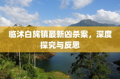 臨沭白旄鎮(zhèn)最新兇殺案，深度探究與反思