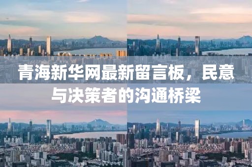青海新華網(wǎng)最新留言板，民意與決策者的溝通橋梁