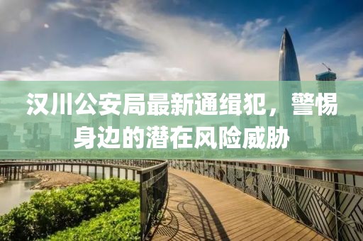 漢川公安局最新通緝犯，警惕身邊的潛在風(fēng)險威脅