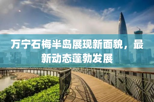 萬寧石梅半島展現(xiàn)新面貌，最新動態(tài)蓬勃發(fā)展