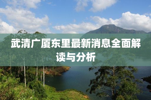 武清廣廈東里最新消息全面解讀與分析
