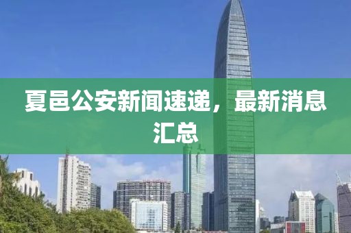 夏邑公安新聞速遞，最新消息匯總