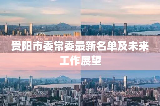 貴陽市委常委最新名單及未來工作展望