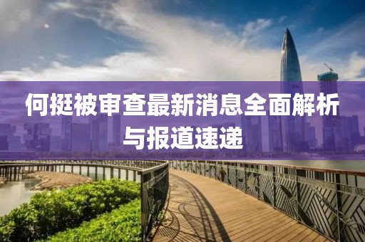何挺被審查最新消息全面解析與報(bào)道速遞