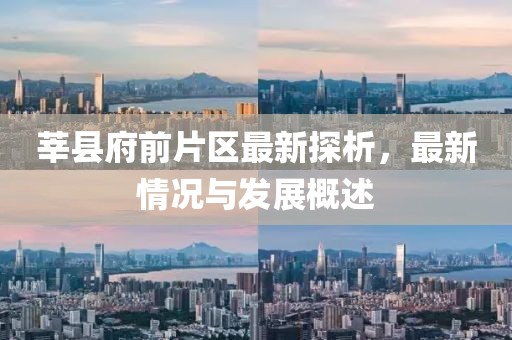 莘縣府前片區(qū)最新探析，最新情況與發(fā)展概述