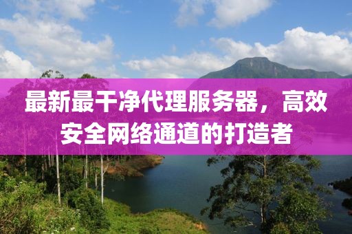 最新最干凈代理服務(wù)器，高效安全網(wǎng)絡(luò)通道的打造者