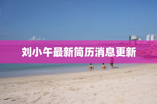 劉小午最新簡歷消息更新