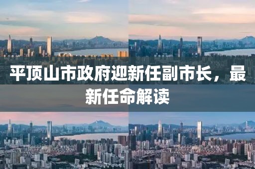 平頂山市政府迎新任副市長(zhǎng)，最新任命解讀