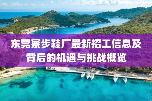 東莞寮步鞋廠最新招工信息及背后的機遇與挑戰(zhàn)概覽
