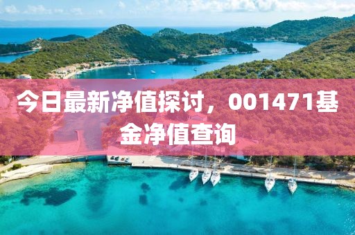 今日最新凈值探討，001471基金凈值查詢