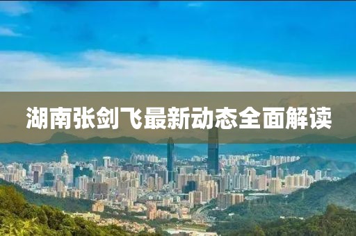 湖南張劍飛最新動態(tài)全面解讀