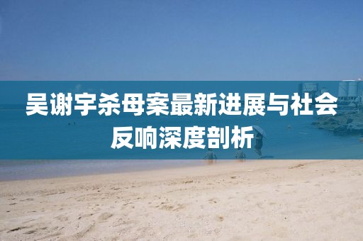 吳謝宇殺母案最新進(jìn)展與社會(huì)反響深度剖析