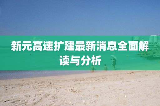新元高速擴建最新消息全面解讀與分析