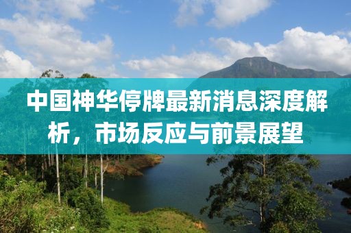 中國(guó)神華停牌最新消息深度解析，市場(chǎng)反應(yīng)與前景展望