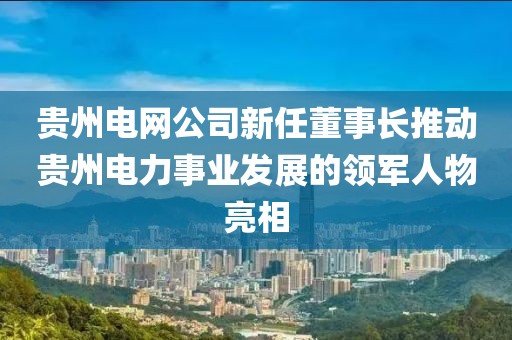 貴州電網(wǎng)公司新任董事長推動貴州電力事業(yè)發(fā)展的領(lǐng)軍人物亮相