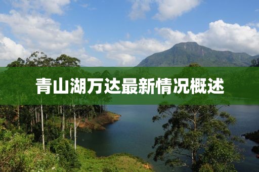 青山湖萬達最新情況概述
