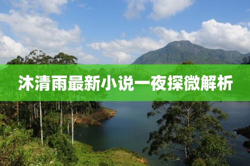 沐清雨最新小說(shuō)一夜探微解析