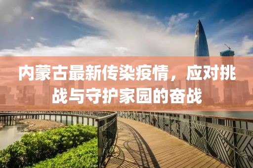 內蒙古最新傳染疫情，應對挑戰(zhàn)與守護家園的奮戰(zhàn)