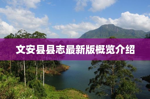 文安縣縣志最新版概覽介紹