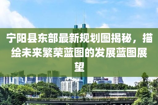 寧陽(yáng)縣東部最新規(guī)劃圖揭秘，描繪未來(lái)繁榮藍(lán)圖的發(fā)展藍(lán)圖展望