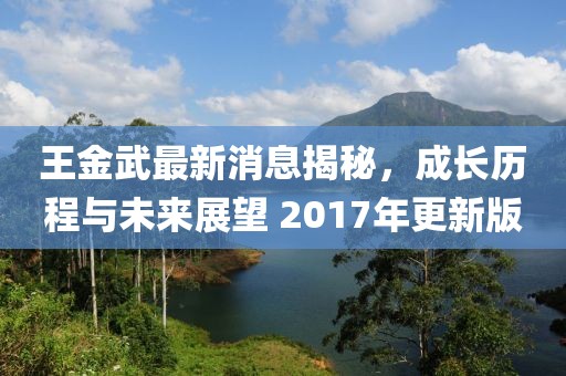 王金武最新消息揭秘，成長歷程與未來展望 2017年更新版