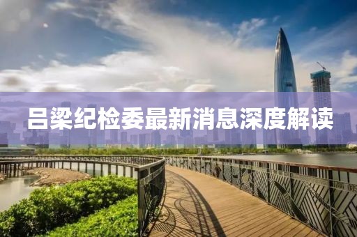 呂梁紀(jì)檢委最新消息深度解讀