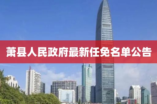 蕭縣人民政府最新任免名單公告