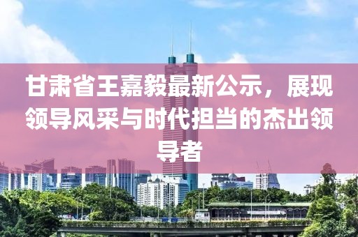 甘肅省王嘉毅最新公示，展現領導風采與時代擔當的杰出領導者