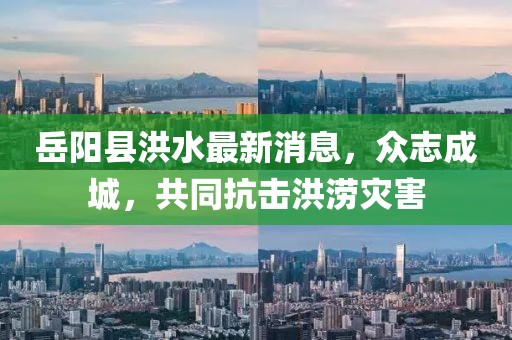 岳陽(yáng)縣洪水最新消息，眾志成城，共同抗擊洪澇災(zāi)害