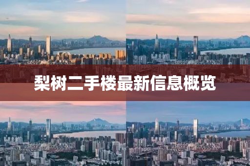 梨樹二手樓最新信息概覽