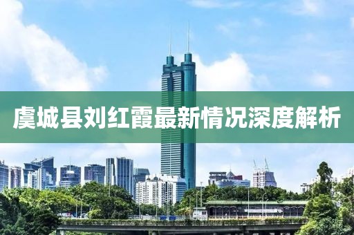 虞城縣劉紅霞最新情況深度解析