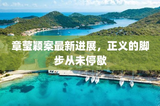 章瑩穎案最新進(jìn)展，正義的腳步從未停歇