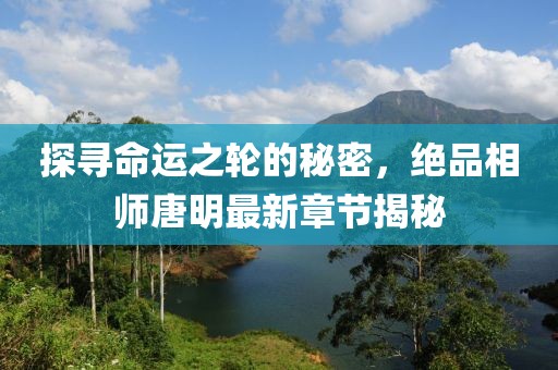探尋命運之輪的秘密，絕品相師唐明最新章節(jié)揭秘