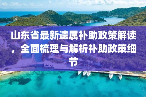 山東省最新遺屬補(bǔ)助政策解讀，全面梳理與解析補(bǔ)助政策細(xì)節(jié)