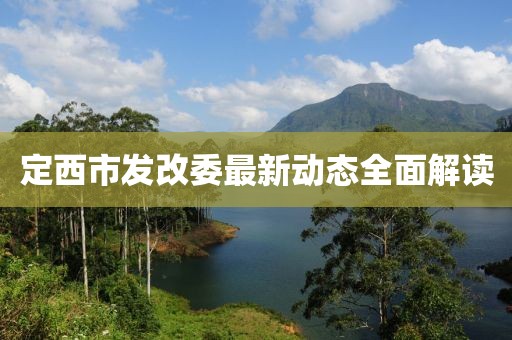 定西市發(fā)改委最新動態(tài)全面解讀