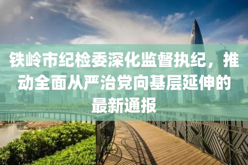 鐵嶺市紀檢委深化監(jiān)督執(zhí)紀，推動全面從嚴治黨向基層延伸的最新通報