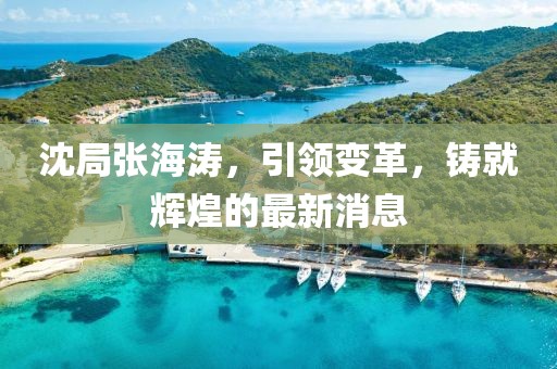 沈局張海濤，引領(lǐng)變革，鑄就輝煌的最新消息