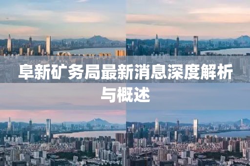 阜新礦務(wù)局最新消息深度解析與概述