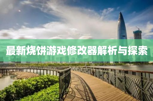 最新燒餅游戲修改器解析與探索