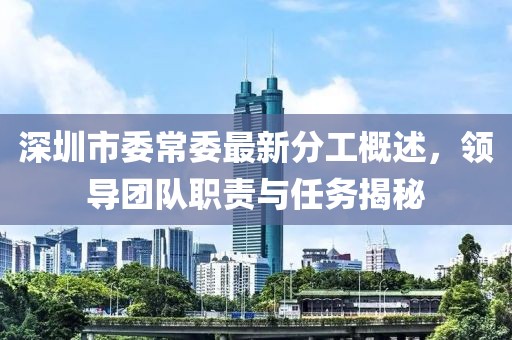 深圳市委常委最新分工概述，領導團隊職責與任務揭秘