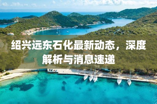 紹興遠東石化最新動態(tài)，深度解析與消息速遞