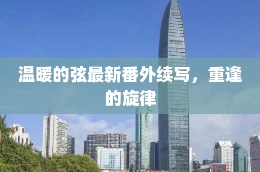 溫暖的弦最新番外續(xù)寫，重逢的旋律