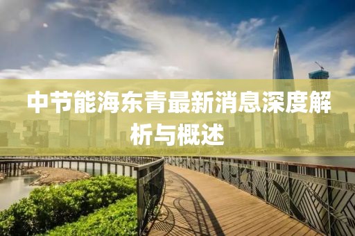 中節(jié)能海東青最新消息深度解析與概述