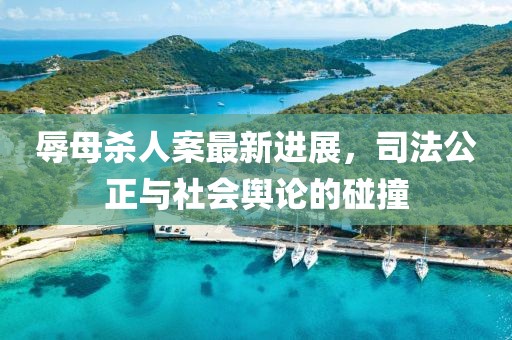 辱母殺人案最新進(jìn)展，司法公正與社會輿論的碰撞
