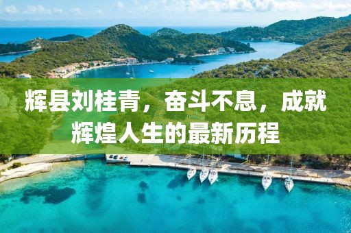 輝縣劉桂青，奮斗不息，成就輝煌人生的最新歷程